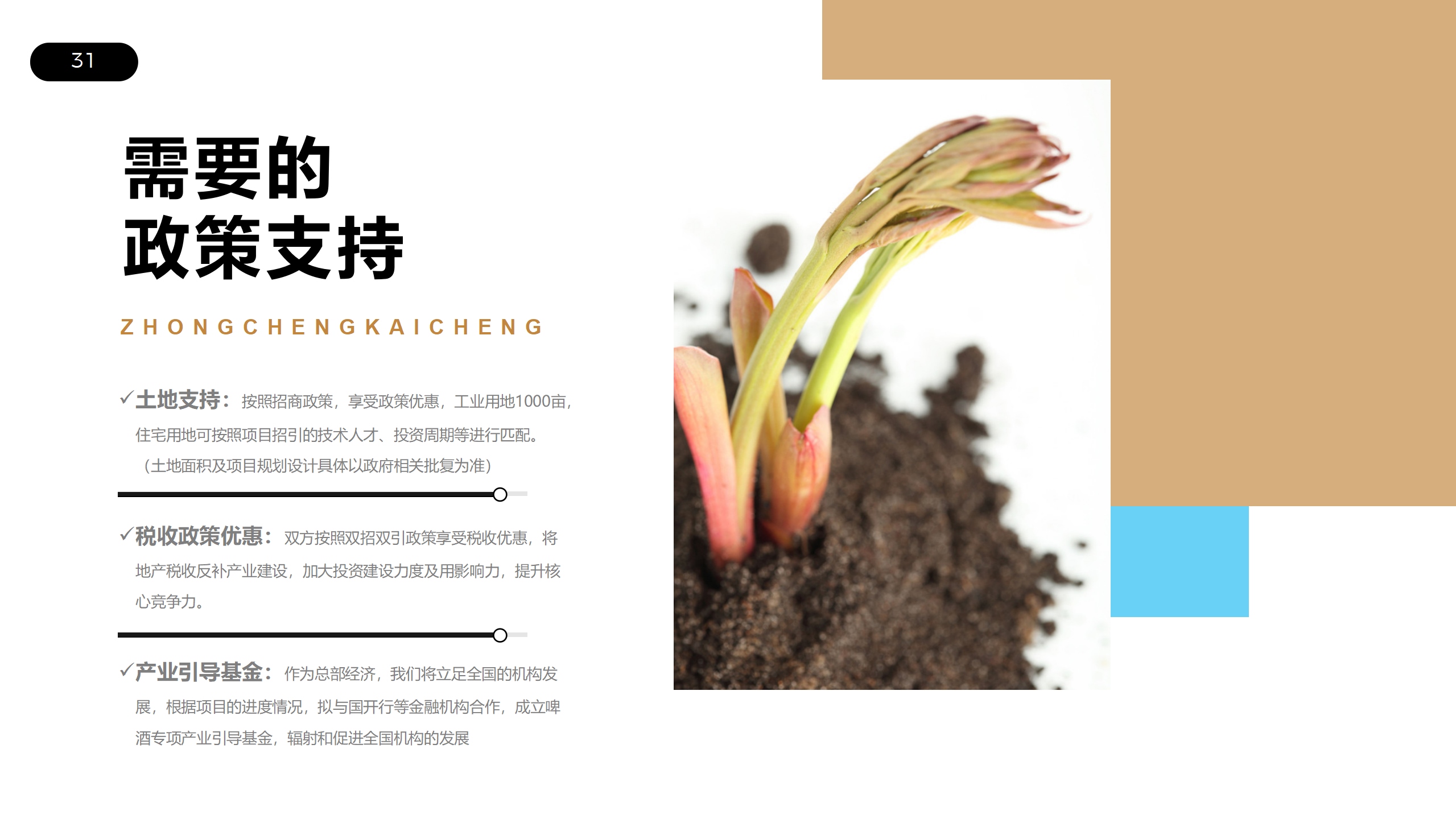 德州啤酒产业园区规划商业计划书(图14)