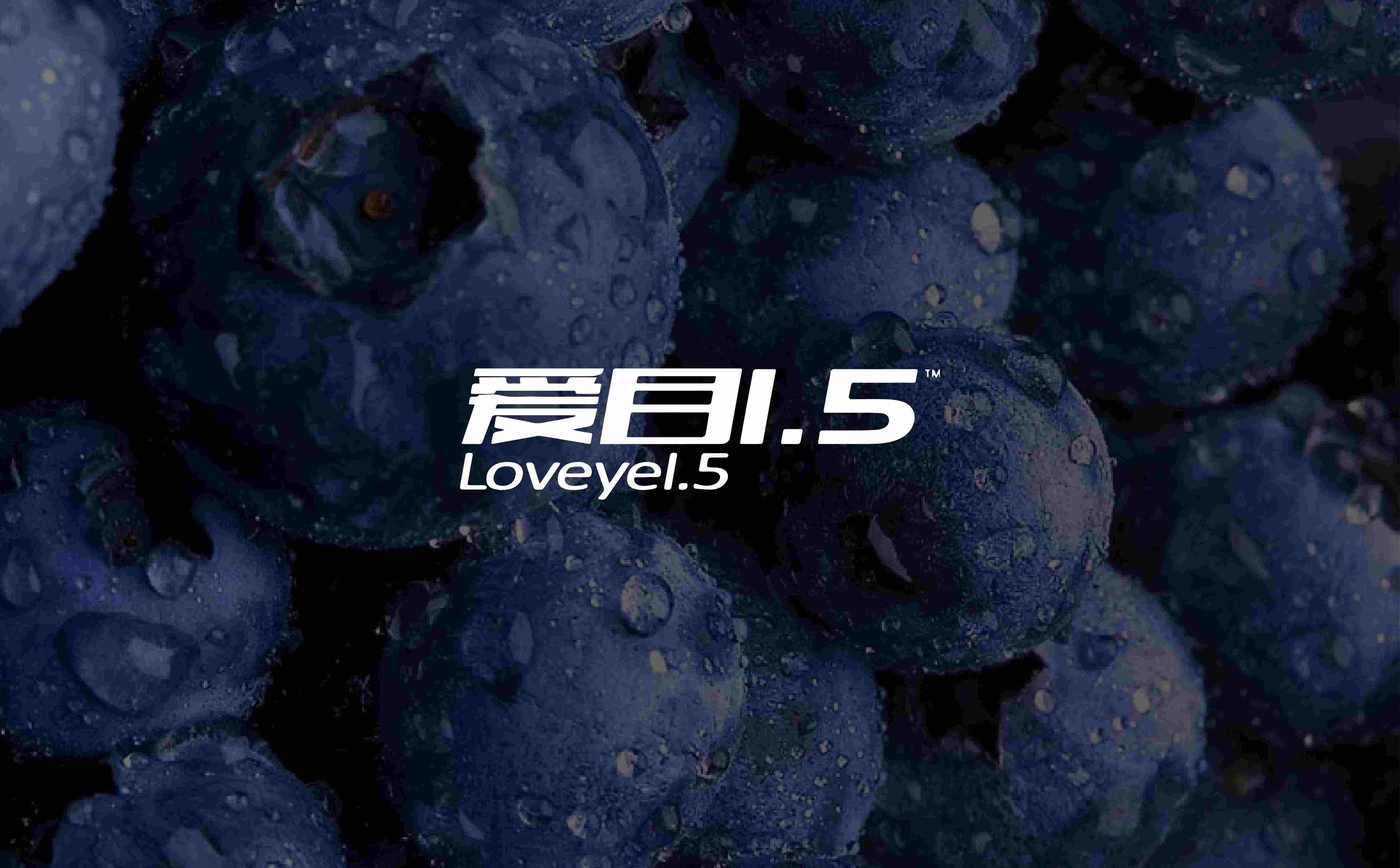 蓝莓品牌包装设计,蓝莓品牌logo设计,蓝莓品牌形象设计,食品高端包装设计(图1)