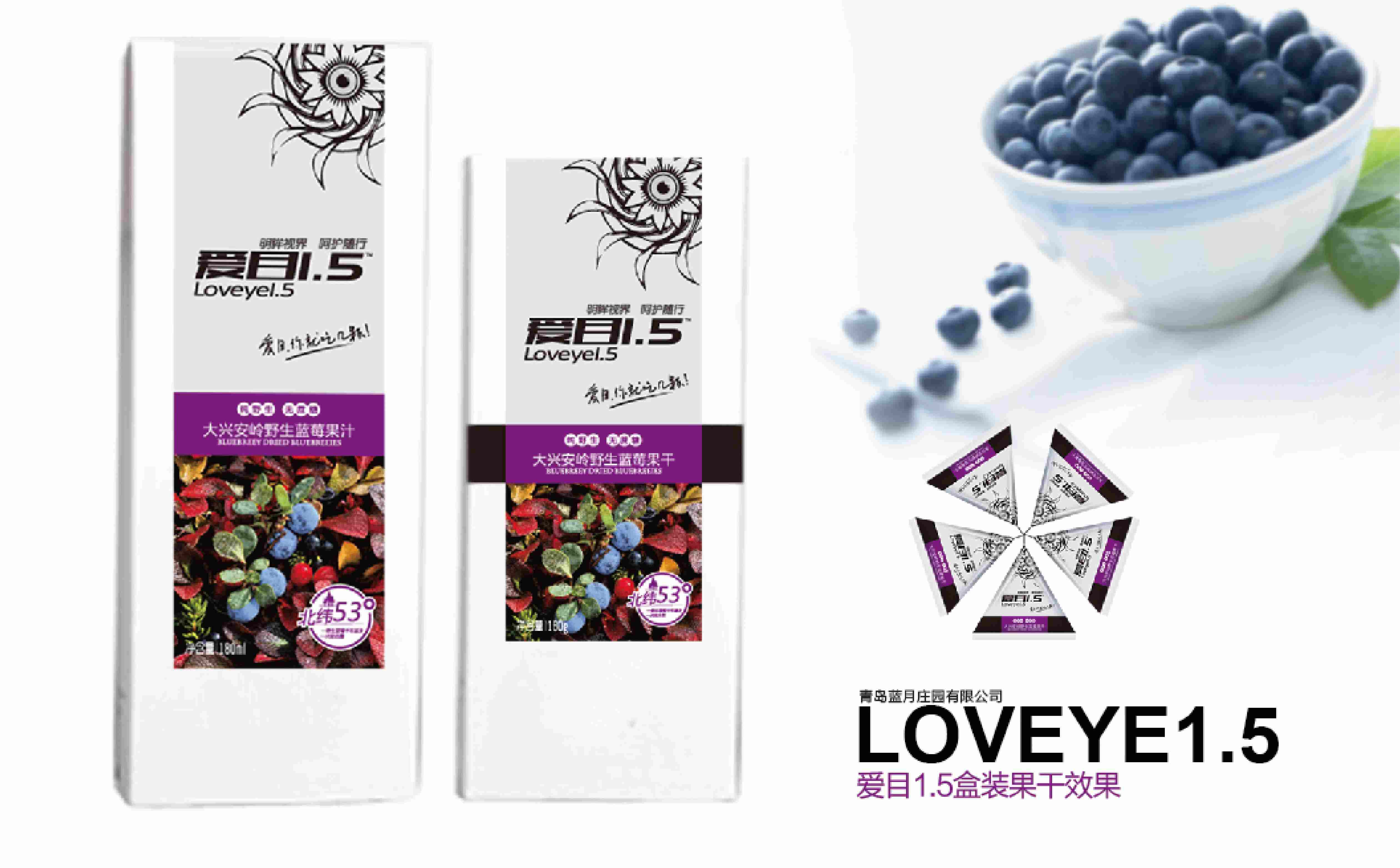 蓝莓品牌包装设计,蓝莓品牌logo设计,蓝莓品牌形象设计,食品高端包装设计(图9)
