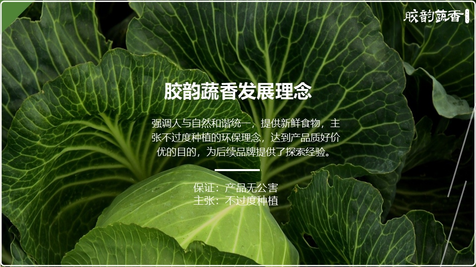 生鲜蔬菜企业介绍PPT,企业介绍PPT,蔬菜生鲜项目策划,果蔬项目策划设计,农场项目策划设计(图2)