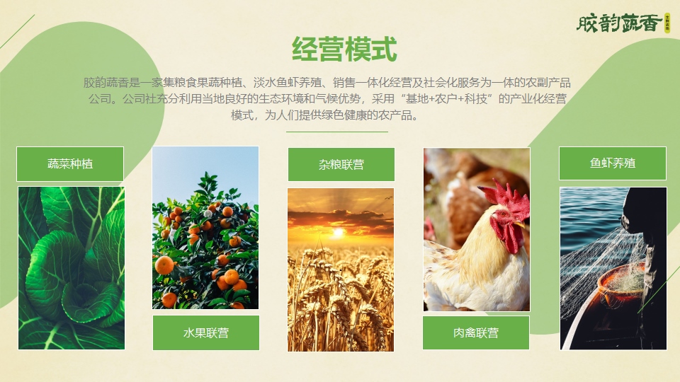 生鲜蔬菜企业介绍PPT,企业介绍PPT,蔬菜生鲜项目策划,果蔬项目策划设计,农场项目策划设计(图3)
