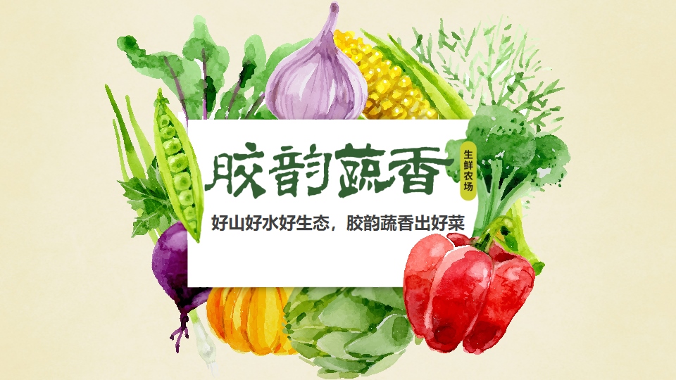 生鲜蔬菜企业介绍PPT,企业介绍PPT,蔬菜生鲜项目策划,果蔬项目策划设计,农场项目策划设计(图1)