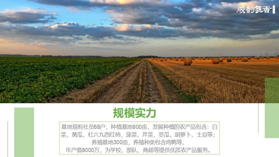 生鲜蔬菜企业介绍PPT,企业介绍PPT,蔬菜生鲜项目策划,果蔬项目策划设计,农场项目策划设计(图4)