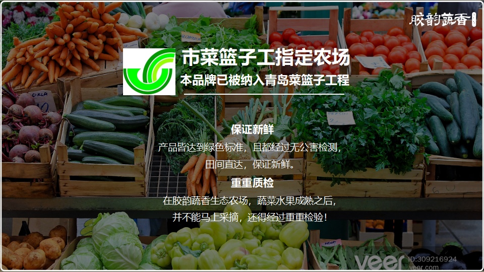 生鲜蔬菜企业介绍PPT,企业介绍PPT,蔬菜生鲜项目策划,果蔬项目策划设计,农场项目策划设计(图6)