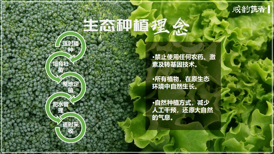 生鲜蔬菜企业介绍PPT,企业介绍PPT,蔬菜生鲜项目策划,果蔬项目策划设计,农场项目策划设计(图8)