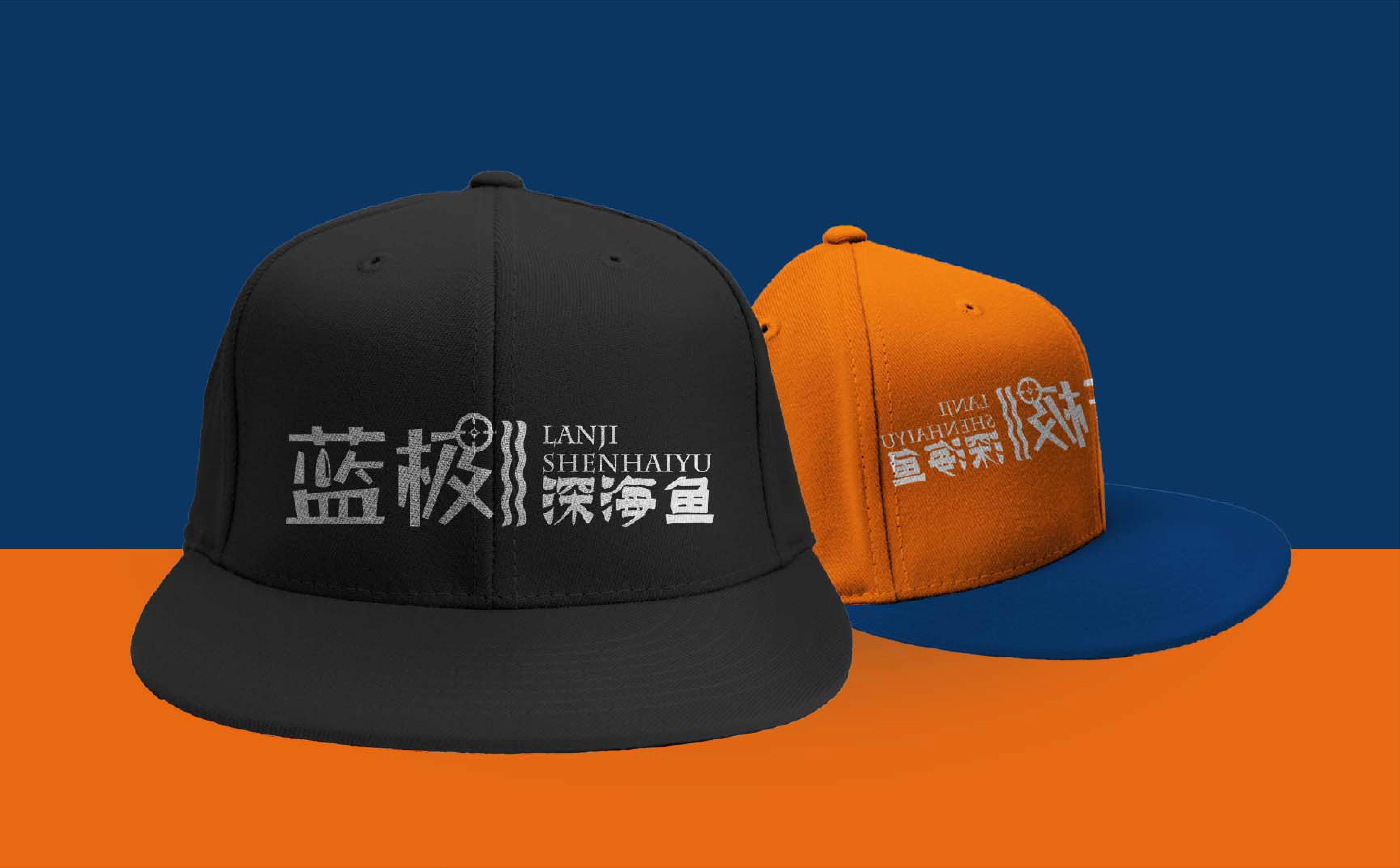 青岛LOGO设计,青岛VI设计,海产品整体形象设计,海产品形象设计,海产品logo设计,海产品包装设计(图7)