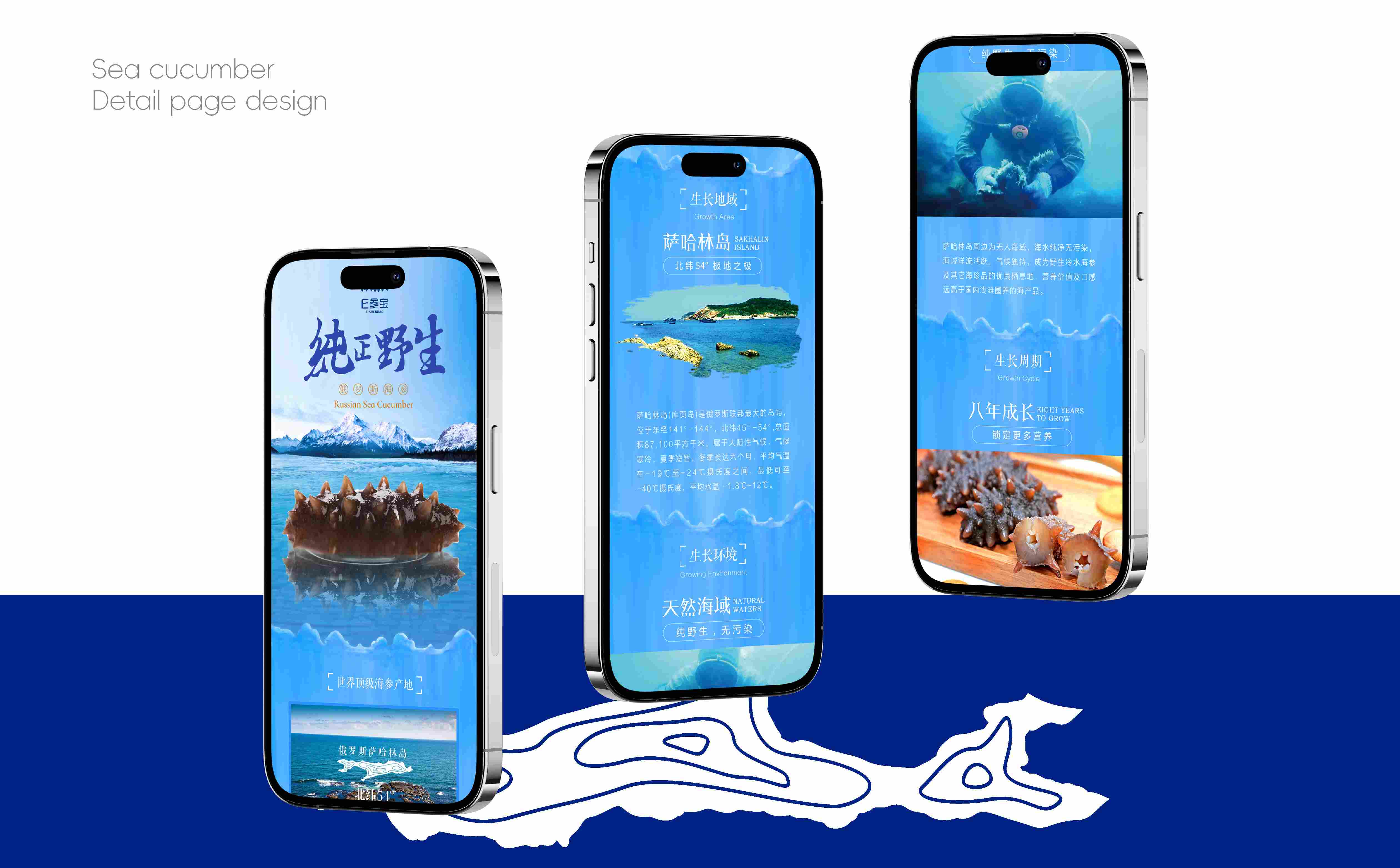 海参品牌形象设计,海参产品详情页设计,海参品牌线上设计,海参产品长图设计(图5) 海参品牌形象设计,海参产品详情页设计,海参品牌线上设计,海参产品长图设计(图5)