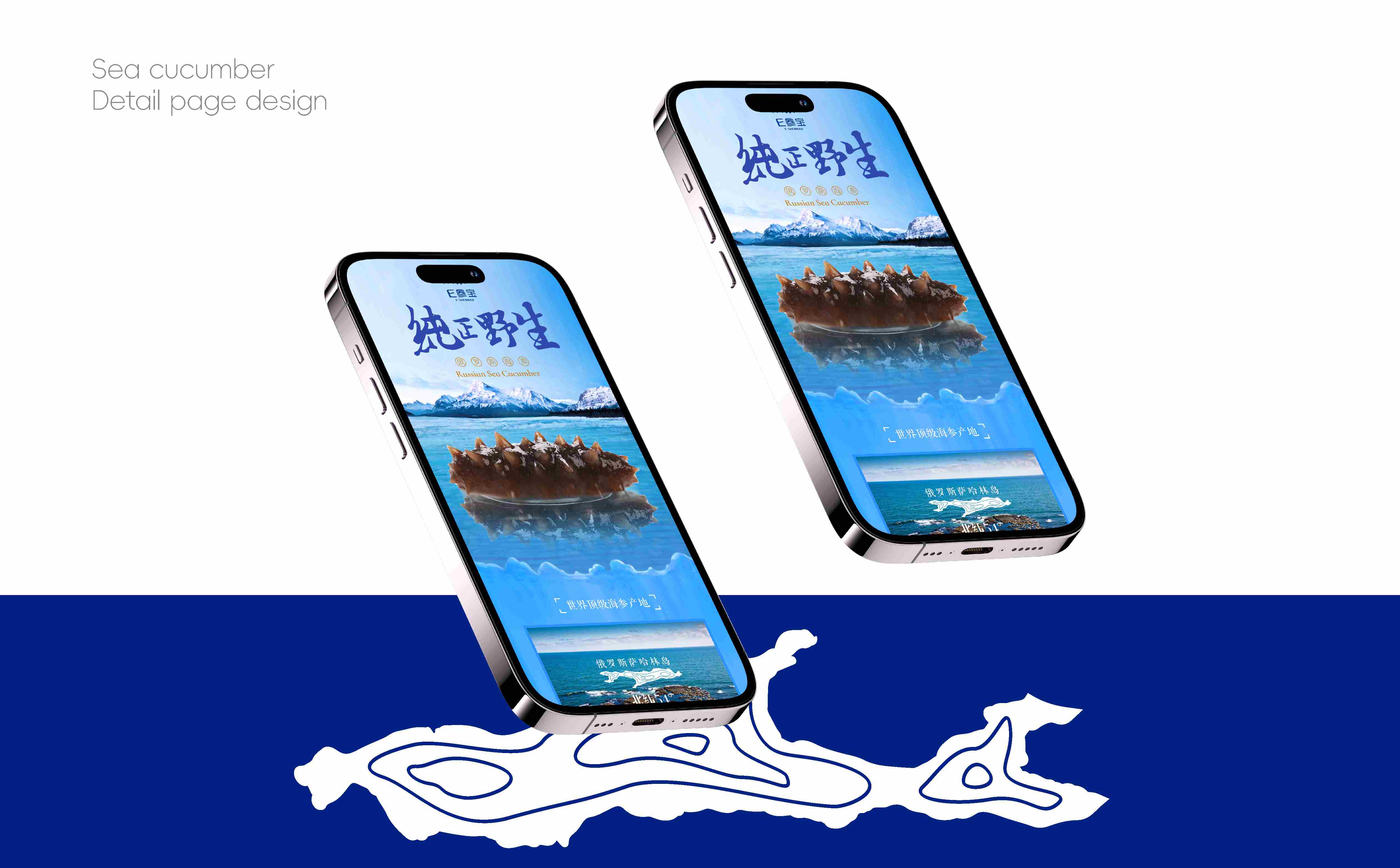 海参品牌形象设计,海参产品详情页设计,海参品牌线上设计,海参产品长图设计(图7) 海参品牌形象设计,海参产品详情页设计,海参品牌线上设计,海参产品长图设计(图7)