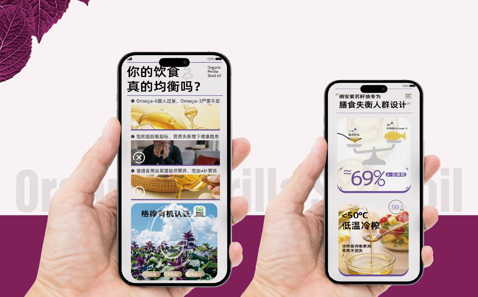 紫苏籽油包装设计,特种油脂包装设计,食用油包装设计,青岛品牌设计,青岛包装设计,食用油包装设计,青岛设计公司,青岛品牌策划(图3)