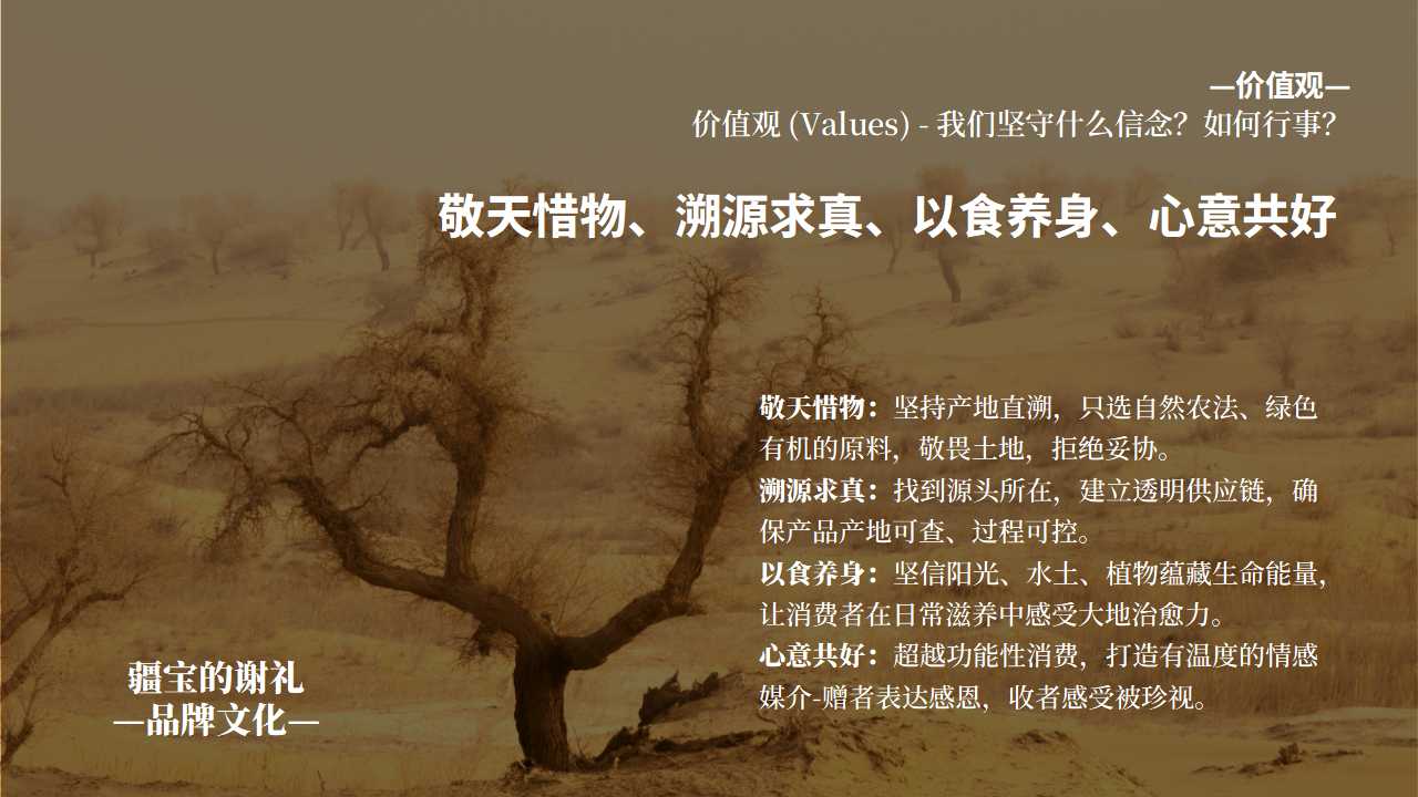 文旅礼品店品牌整合策划,文旅特产店理念文化品牌策划,品牌全案策划,品牌定位,品牌核心价值数量,品牌话语,品牌广告语策划(图6)