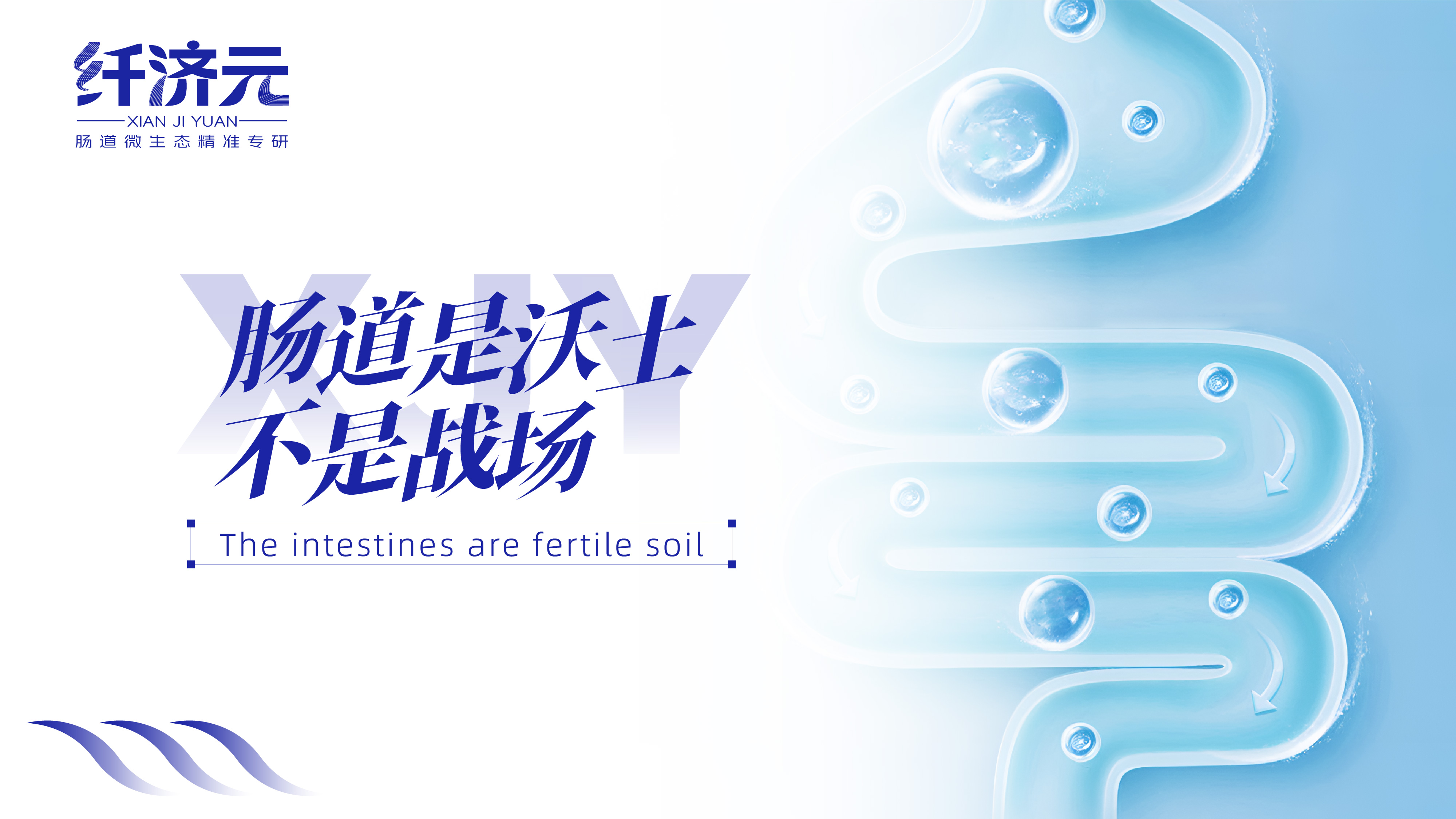 益生菌logo设计,保健品logo设计,青岛logo设计,青岛设计公司,青岛品牌设计,青岛标志设计(图4)