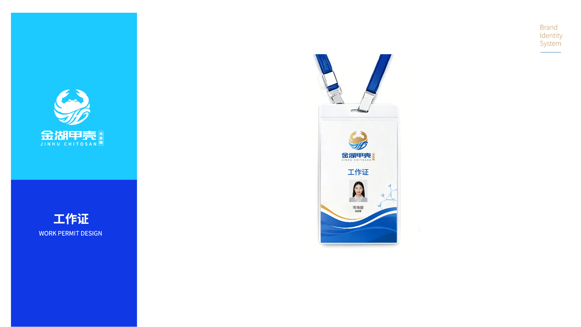 生物科技型企业logo设计,企业形象设计,标志设计,Vi设计,青岛logo设计公司,青岛品牌设计,青岛标志设计(图11)