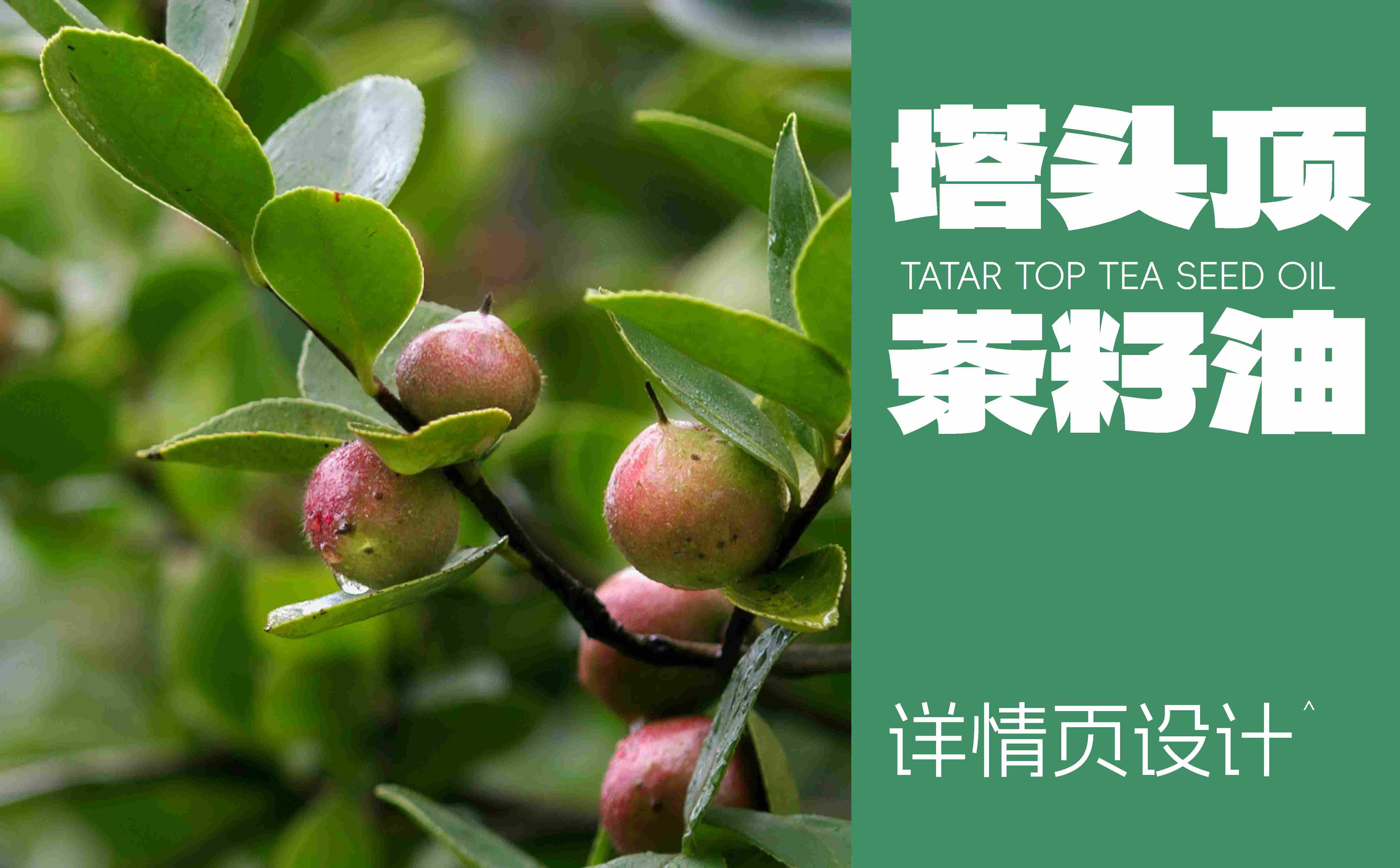 山茶油图片拍摄,山茶油详情页设计,食用油广告拍摄,食用油详情页,食用油线上设计(图1)